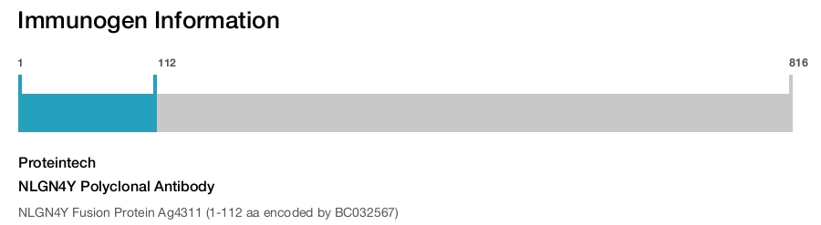 NLGN4Y Polyclonal Antibody