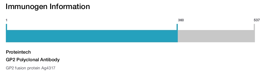 GP2 Polyclonal Antibody