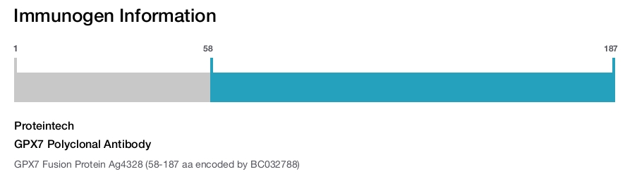 GPX7 Polyclonal Antibody