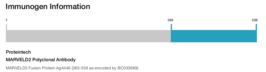 MARVELD2 Polyclonal Antibody