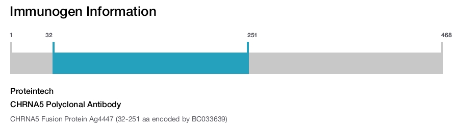 CHRNA5 Polyclonal Antibody