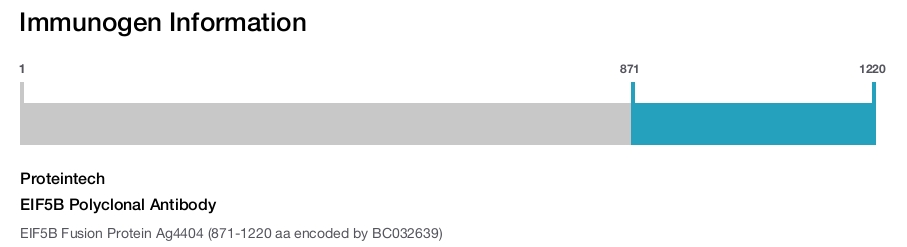 EIF5B Polyclonal Antibody