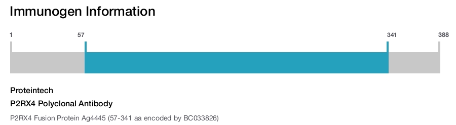 P2RX4 Polyclonal Antibody