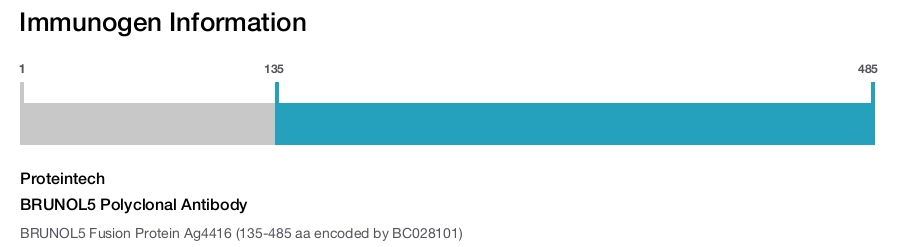 BRUNOL5 Polyclonal Antibody