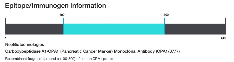 Carboxypeptidase A1/CPA1 (Pancreatic Cancer Marker) Monoclonal Antibody (CPA1/8777)