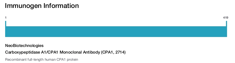Carboxypeptidase A1/CPA1 Monoclonal Antibody (CPA1, 2714)