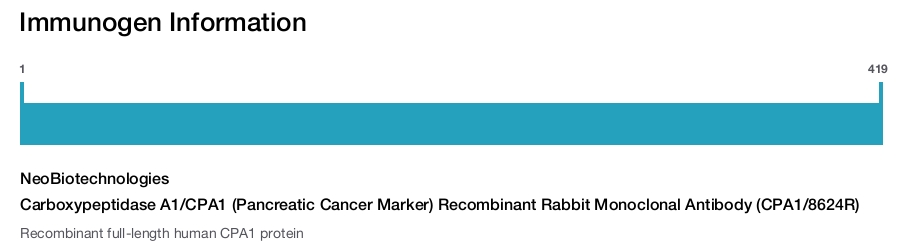 Carboxypeptidase A1/CPA1 (Pancreatic Cancer Marker) Recombinant Rabbit Monoclonal Antibody (CPA1/8624R)