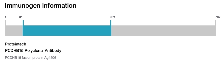 PCDHB15 Polyclonal Antibody