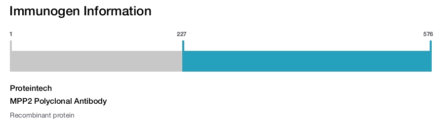 MPP2 Polyclonal Antibody