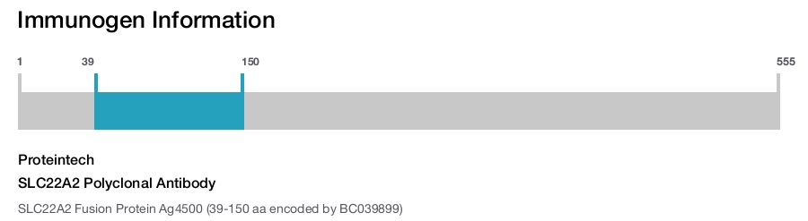 SLC22A2 Polyclonal Antibody