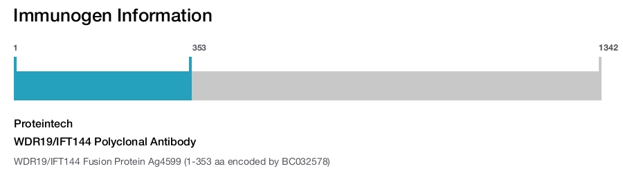 WDR19/IFT144 Polyclonal Antibody