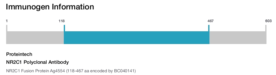 NR2C1 Polyclonal Antibody