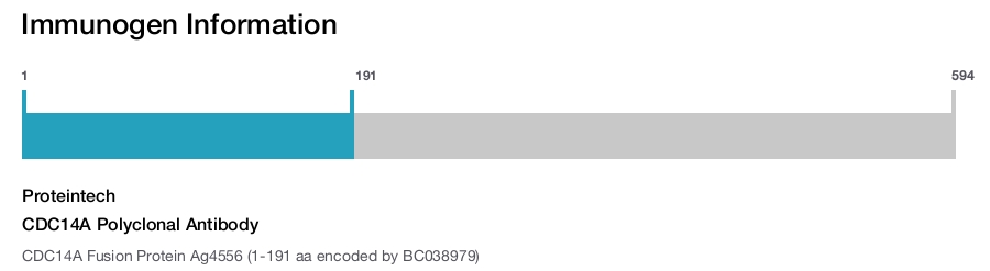 CDC14A Polyclonal Antibody