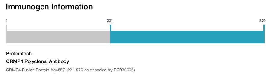 CRMP4 Polyclonal Antibody