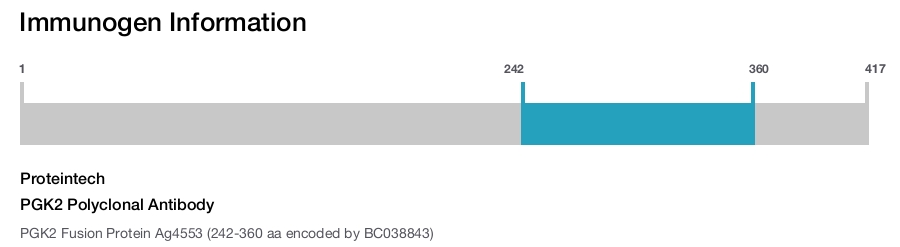PGK2 Polyclonal Antibody