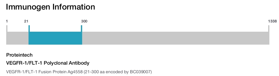 VEGFR-1/FLT-1 Polyclonal Antibody
