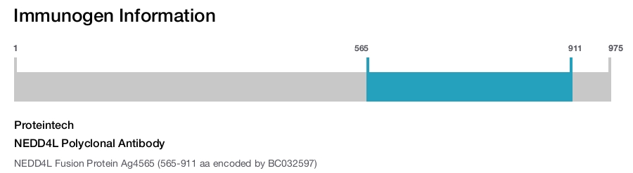 NEDD4L Polyclonal Antibody