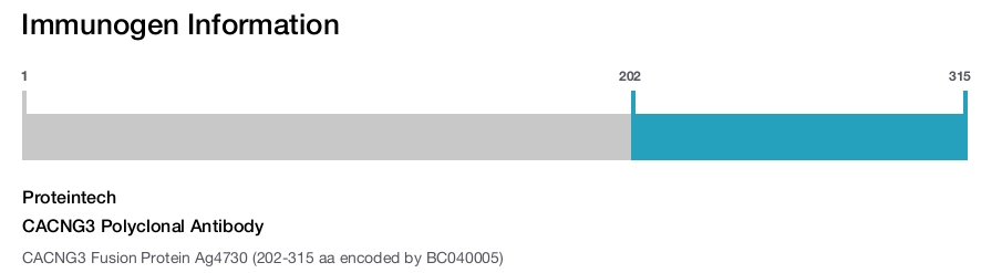 CACNG3 Polyclonal Antibody