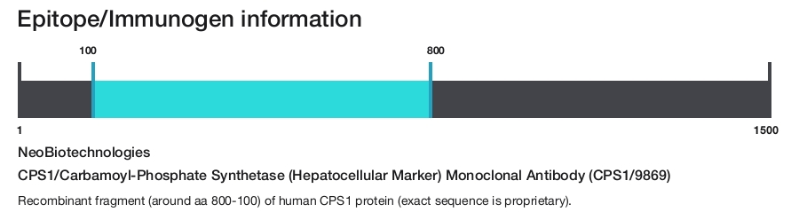 CPS1/Carbamoyl-Phosphate Synthetase (Hepatocellular Marker) Monoclonal Antibody (CPS1/9869)