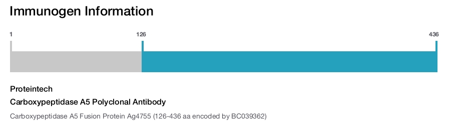 Carboxypeptidase A5 Polyclonal Antibody