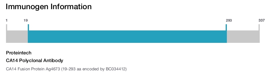 CA14 Polyclonal Antibody