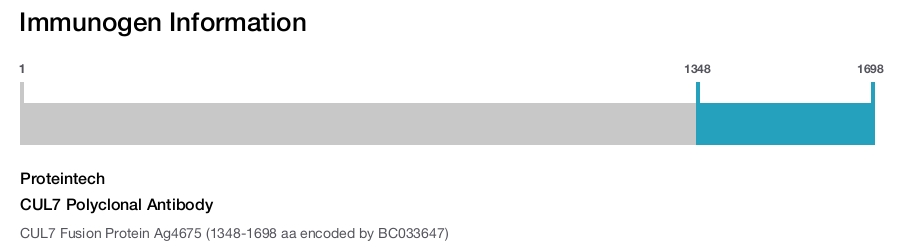 CUL7 Polyclonal Antibody