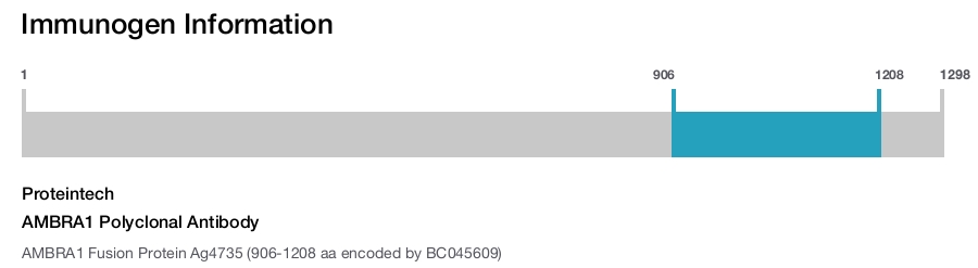 AMBRA1 Polyclonal Antibody