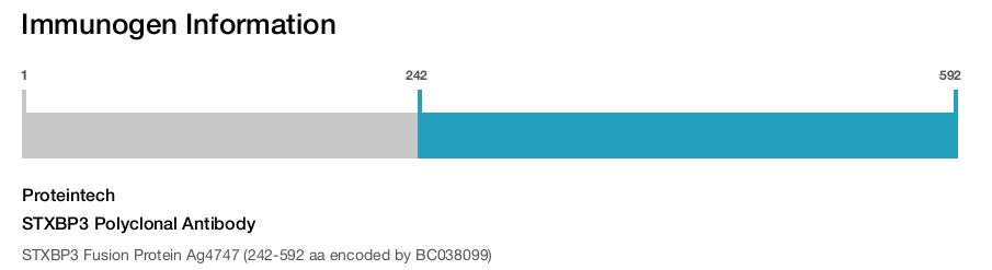 STXBP3 Polyclonal Antibody