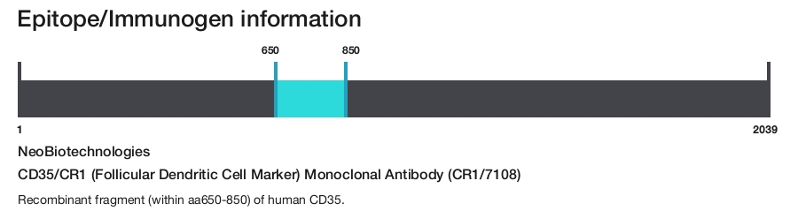CD35/CR1 (Follicular Dendritic Cell Marker) Monoclonal Antibody (CR1/7108)