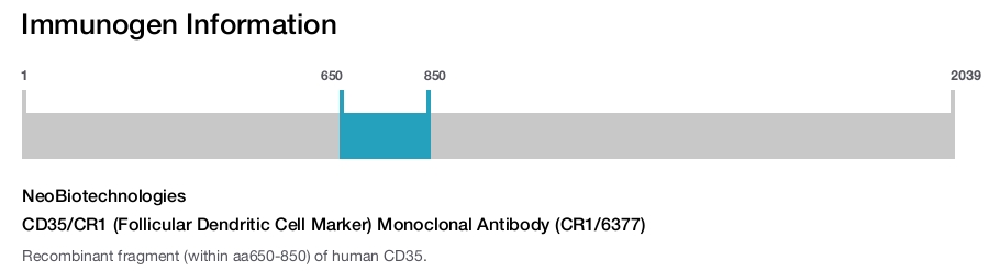 CD35/CR1 (Follicular Dendritic Cell Marker) Monoclonal Antibody (CR1/6377)