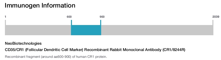 CD35/CR1 (Follicular Dendritic Cell Marker) Recombinant Rabbit Monoclonal Antibody (CR1/8244R)