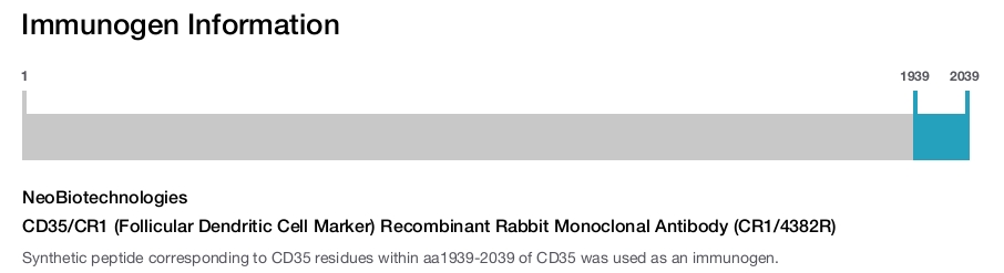 CD35/CR1 (Follicular Dendritic Cell Marker) Recombinant Rabbit Monoclonal Antibody (CR1/4382R)