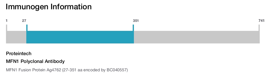MFN1 Polyclonal Antibody