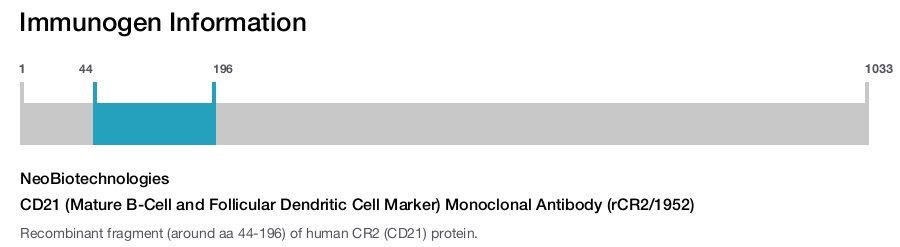 CD21 (Mature B-Cell and Follicular Dendritic Cell Marker) Monoclonal Antibody (rCR2/1952)