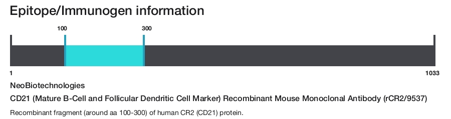 CD21 (Mature B-Cell and Follicular Dendritic Cell Marker) Recombinant Mouse Monoclonal Antibody (rCR2/9537)