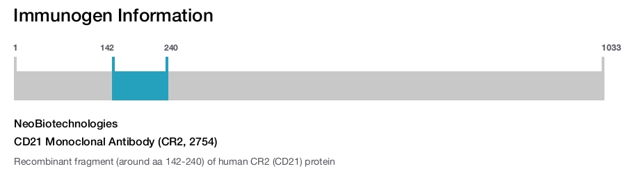 CD21 Monoclonal Antibody (CR2, 2754)