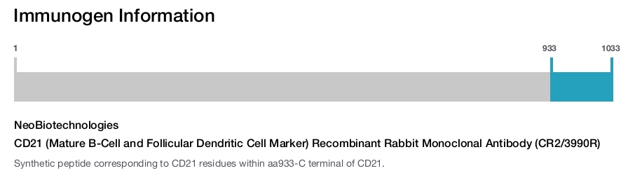 CD21 (Mature B-Cell and Follicular Dendritic Cell Marker) Recombinant Rabbit Monoclonal Antibody (CR2/3990R)