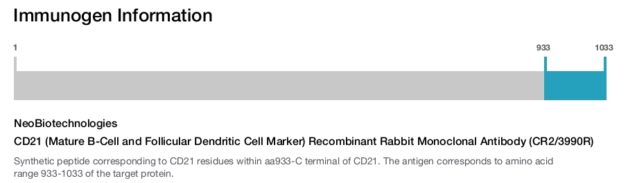 CD21 (Mature B-Cell and Follicular Dendritic Cell Marker) Recombinant Rabbit Monoclonal Antibody (CR2/3990R)