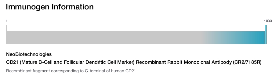 CD21 (Mature B-Cell and Follicular Dendritic Cell Marker) Recombinant Rabbit Monoclonal Antibody (CR2/7185R)