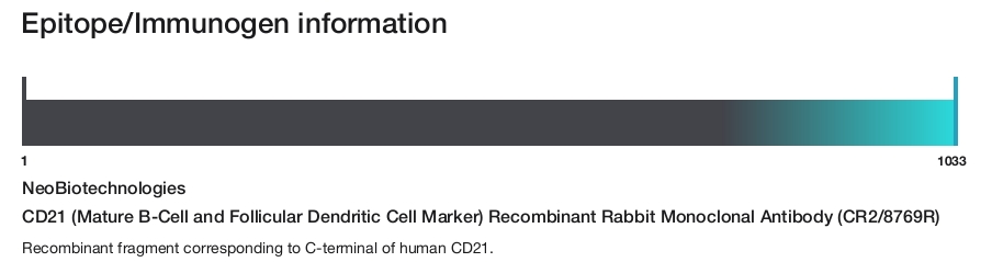 CD21 (Mature B-Cell and Follicular Dendritic Cell Marker) Recombinant Rabbit Monoclonal Antibody (CR2/8769R)