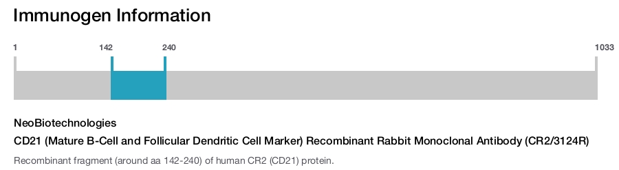 CD21 (Mature B-Cell and Follicular Dendritic Cell Marker) Recombinant Rabbit Monoclonal Antibody (CR2/3124R)