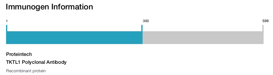 TKTL1 Polyclonal Antibody