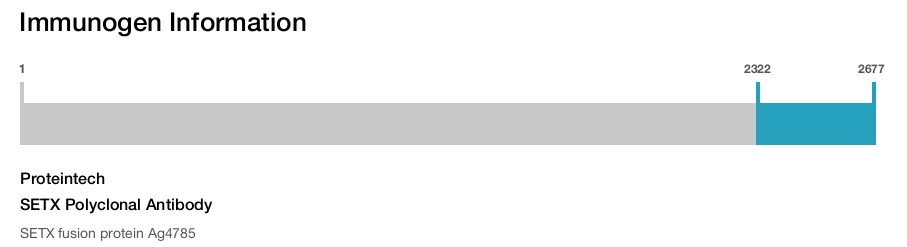 SETX Polyclonal Antibody