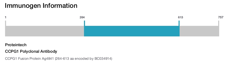 CCPG1 Polyclonal Antibody
