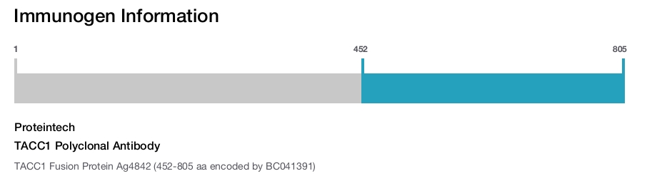TACC1 Polyclonal Antibody