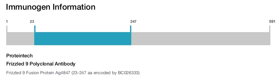 Frizzled 9 Polyclonal Antibody