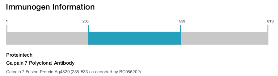 Calpain 7 Polyclonal Antibody