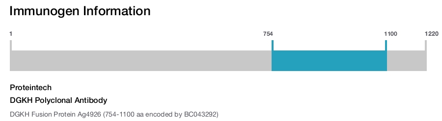 DGKH Polyclonal Antibody