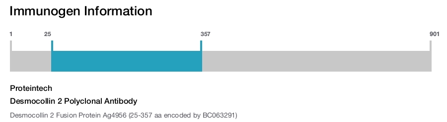 Desmocollin 2 Polyclonal Antibody