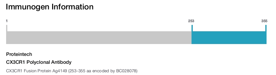 CX3CR1 Polyclonal Antibody